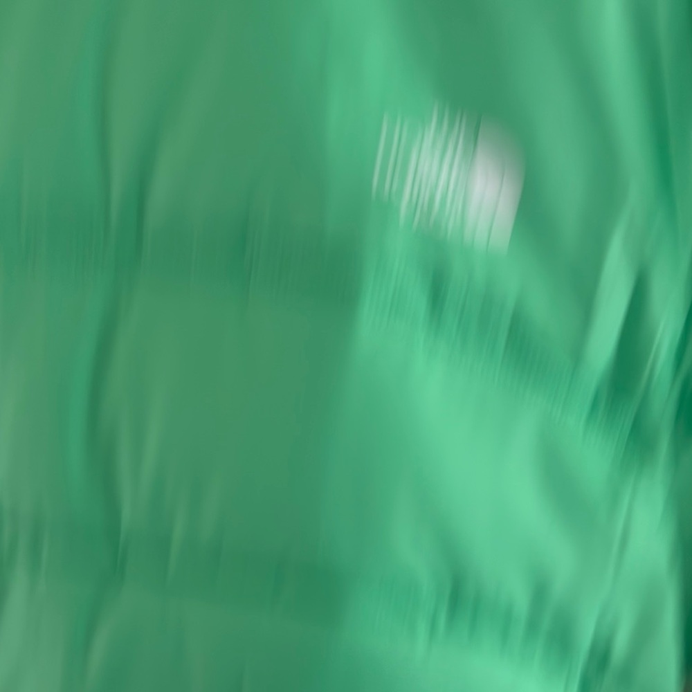 BNWT Women’s the north face puffer jacket green xxl RARE COLOR,  RELAXED FIT - Picture 7 of 7